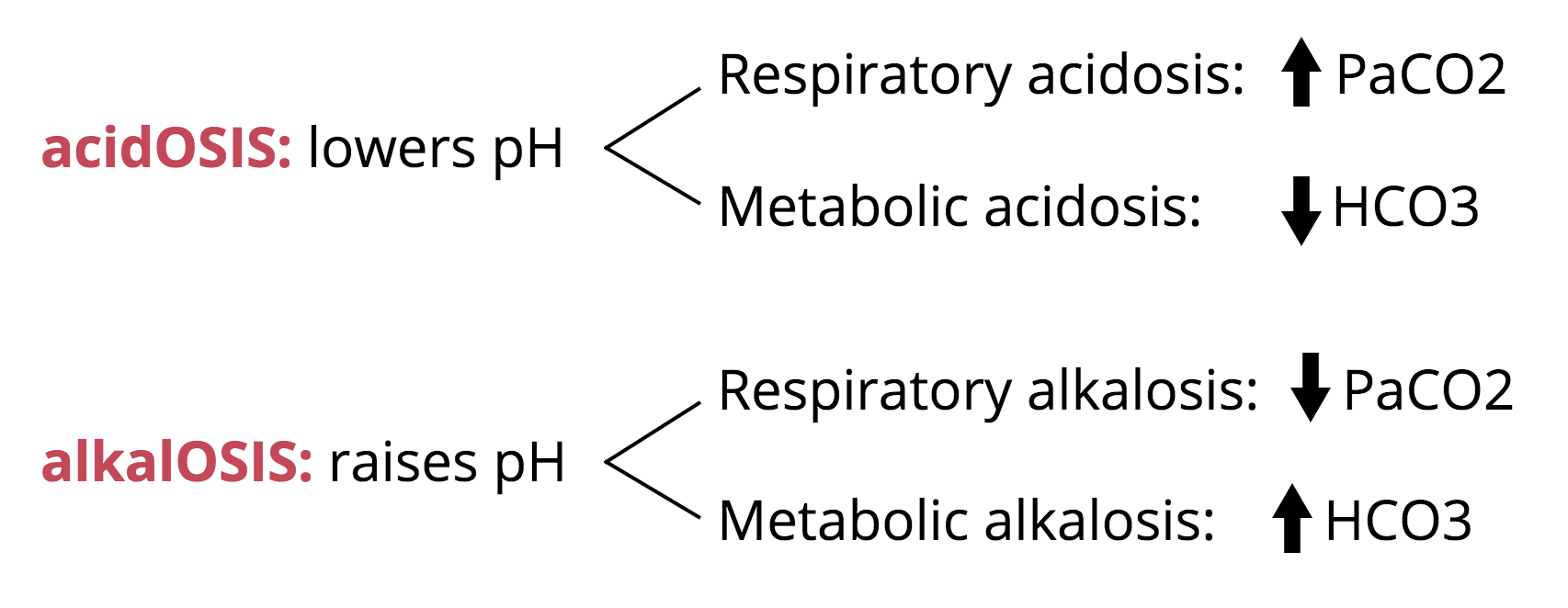 Heart Failure and Shortness of Breath