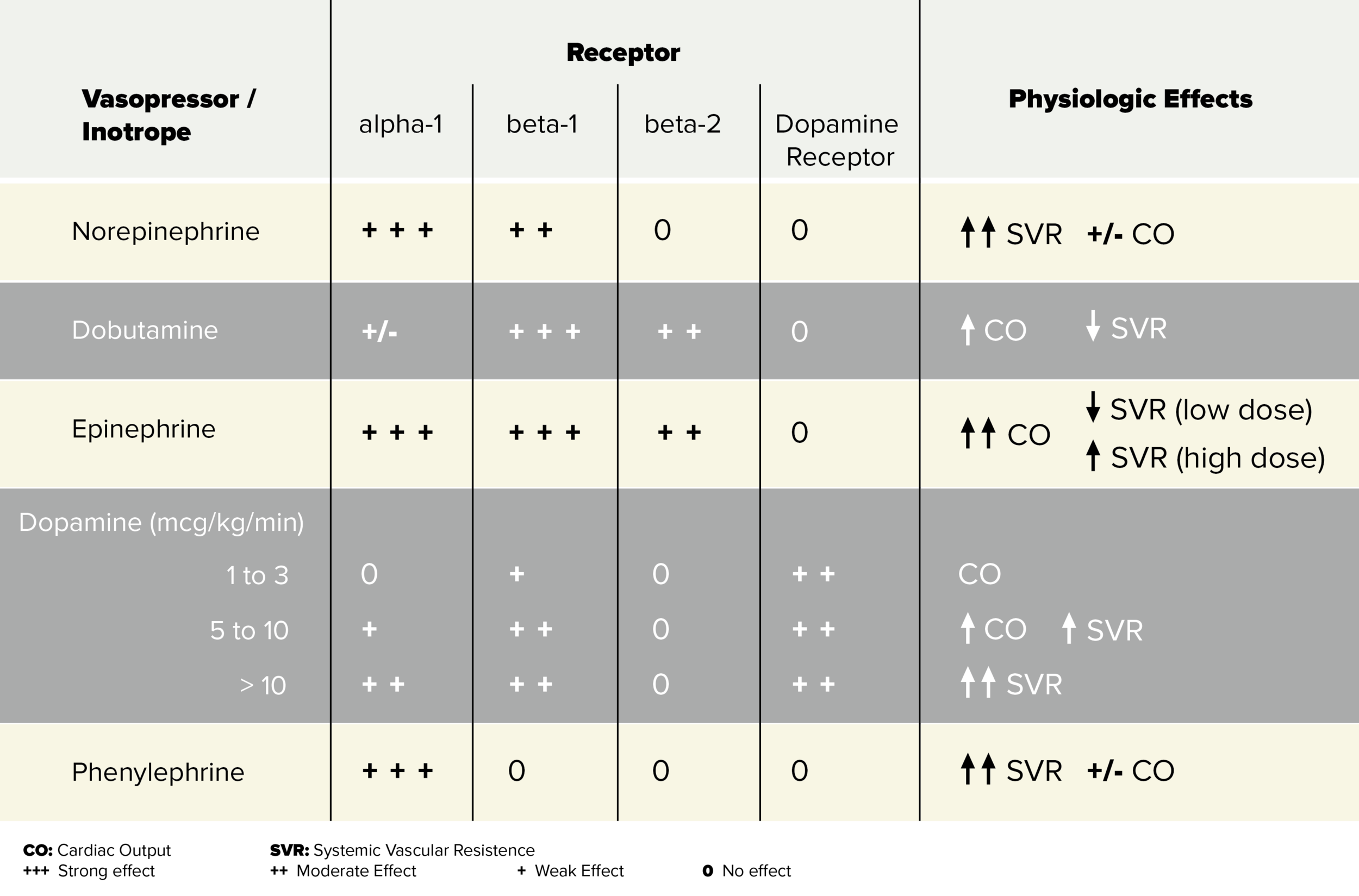 Vasopressors Chart